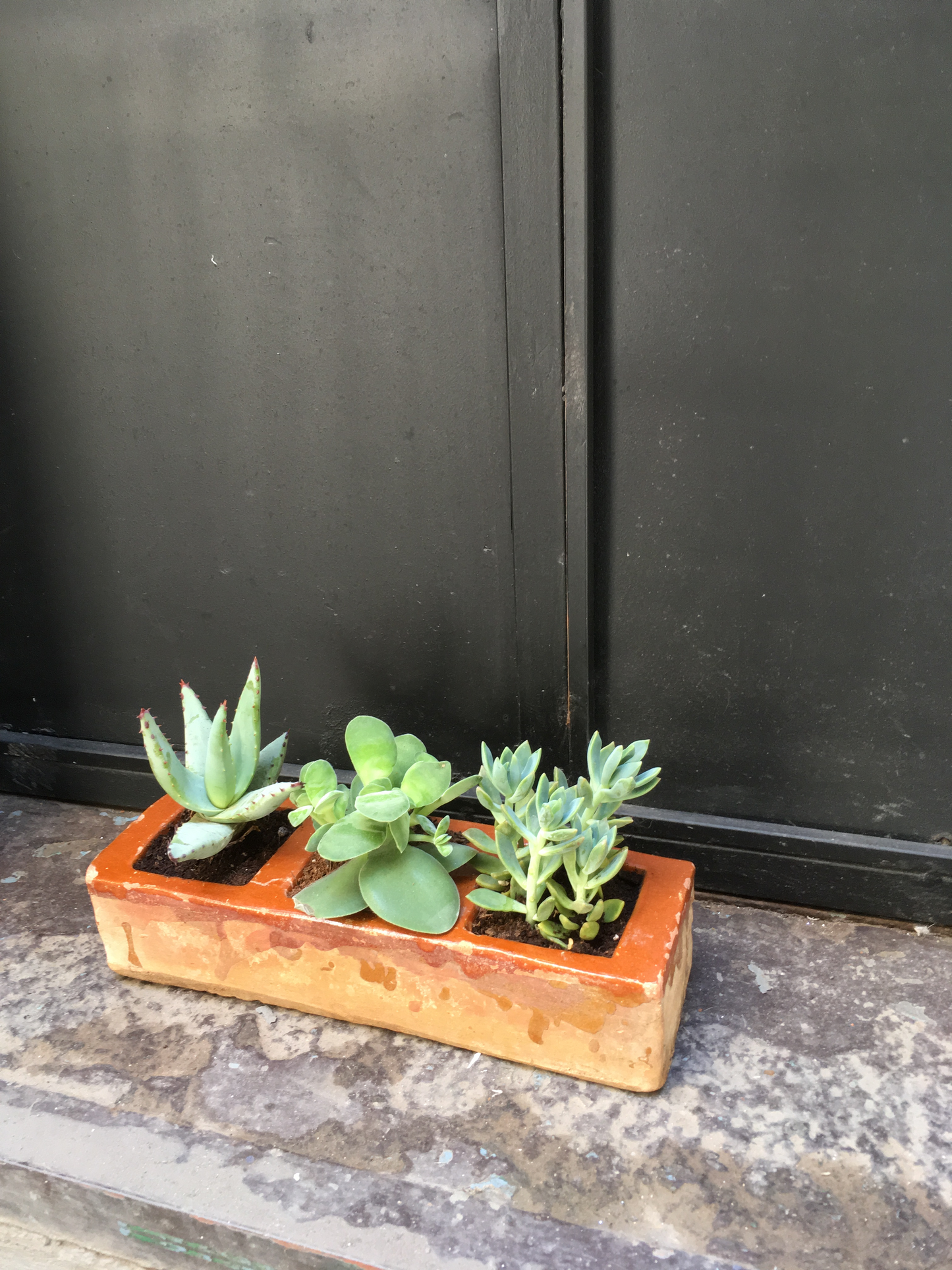 Conejo Terracotta Planter 3 Sections