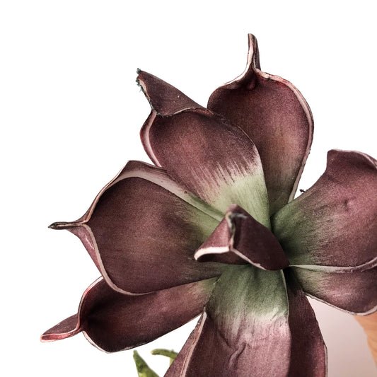 Delicate Foam Succulents Set of 6