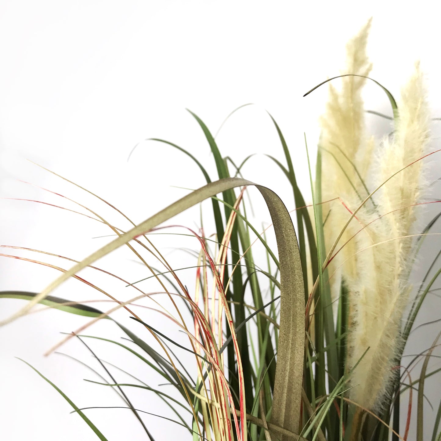 Zen Artificial Grasses