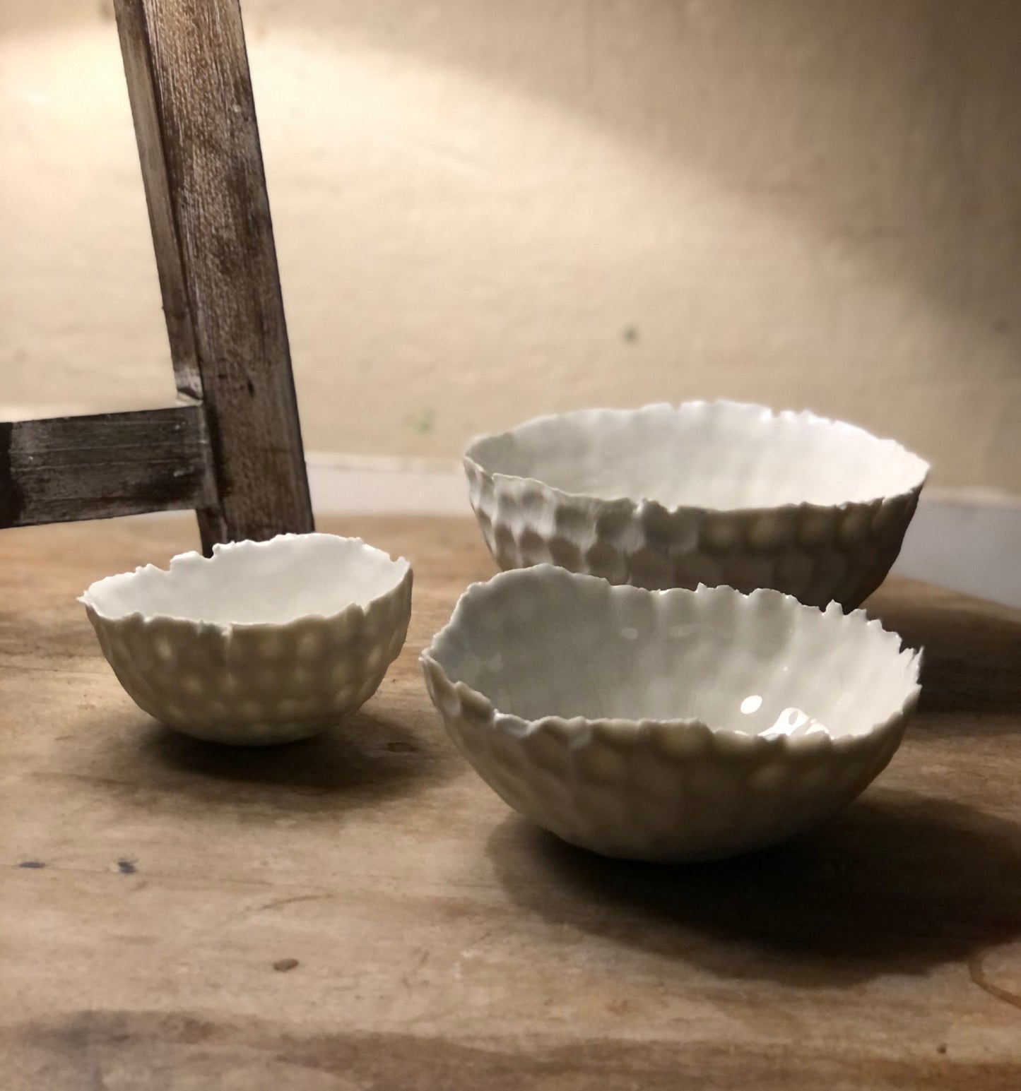 Abandoned Shells | White Bowls Set of Three